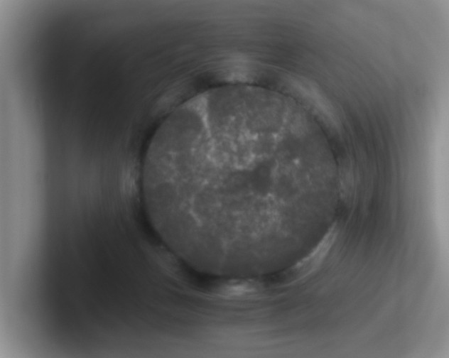 X0000102300175200808081552