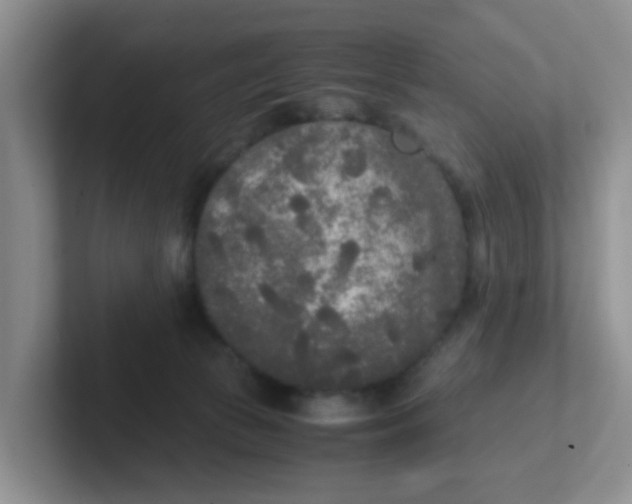 X0000102300177200808081552