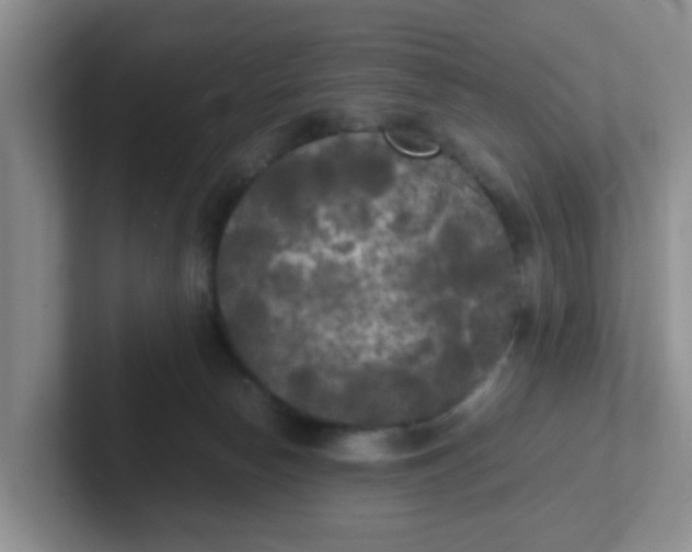 X0000102300178200808081552