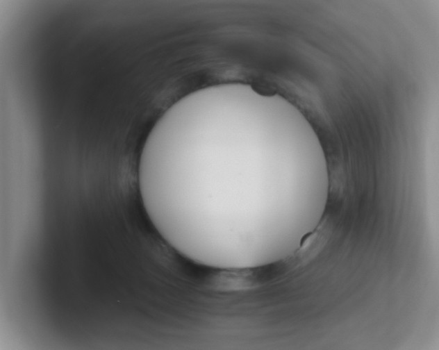 X0000102300179200808081552