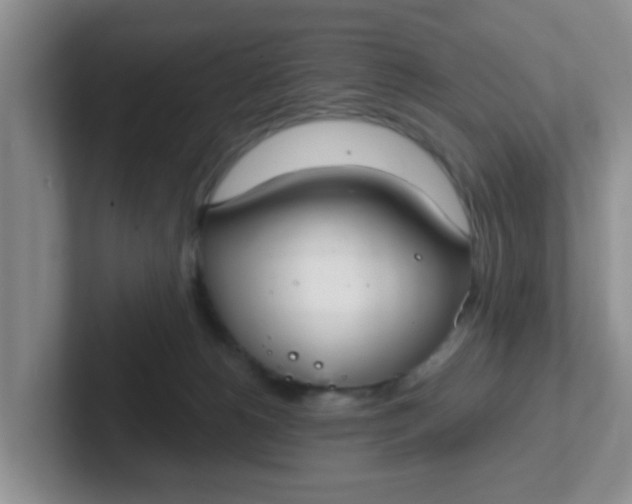 X0000102300180200808081552