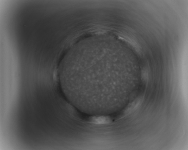 X0000102300181200808081552