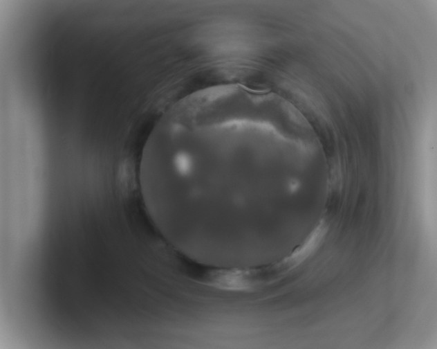 X0000102300182200808081552