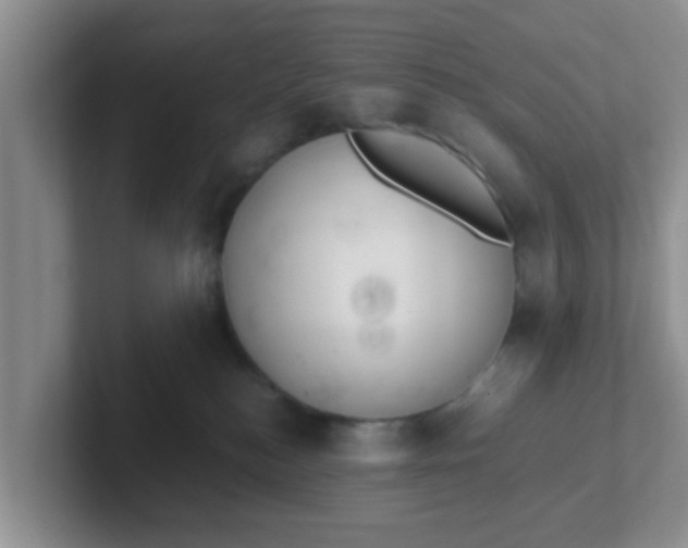 X0000102300184200808081552