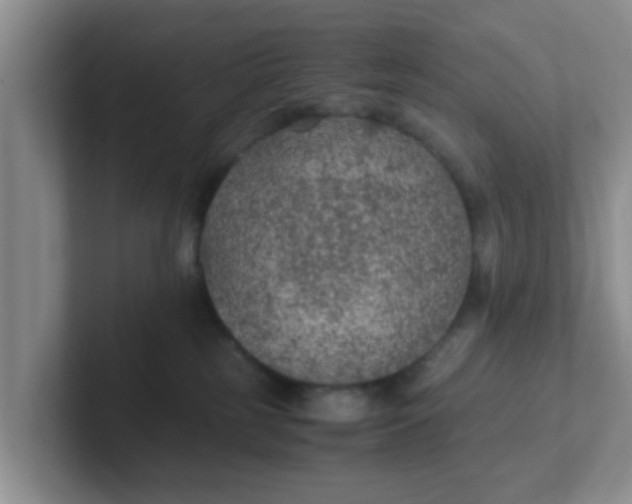 X0000102300185200808081552