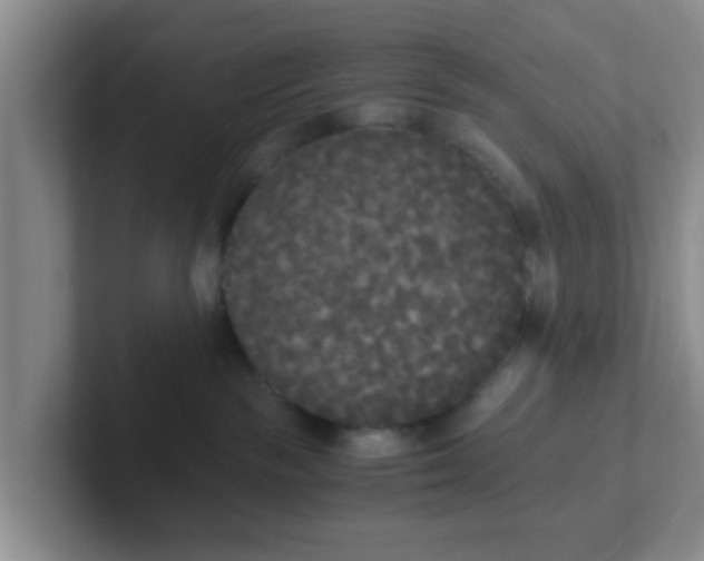 X0000102300189200808081552