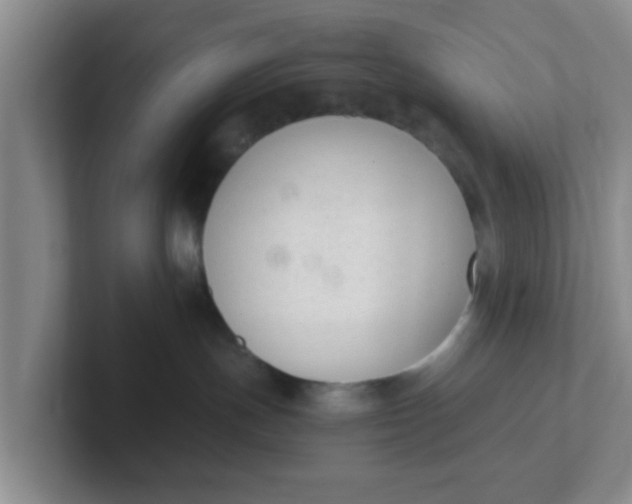 X0000102300191200808081552