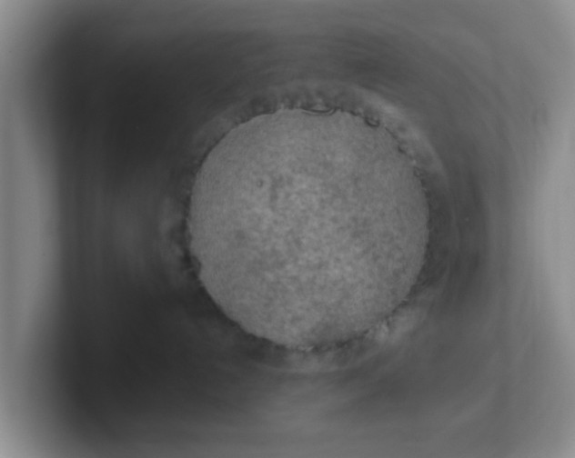 X0000102300192200808081552