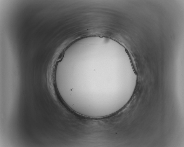 X0000102300193200808081551