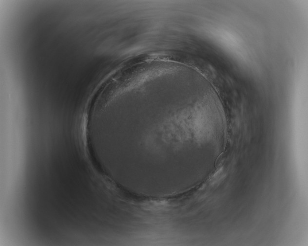 X0000102300194200808081551