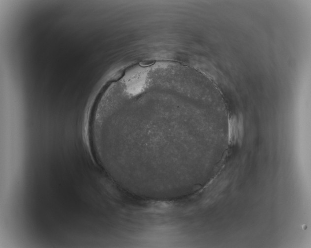 X0000102300195200808081551