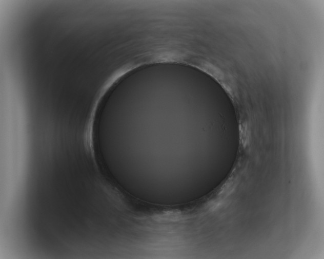 X0000102300196200808081551
