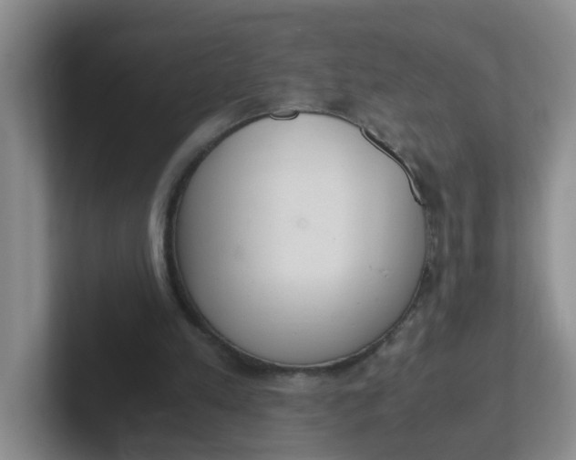 X0000102300197200808081551