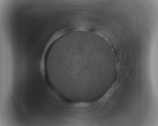 X0000102300198200808081551