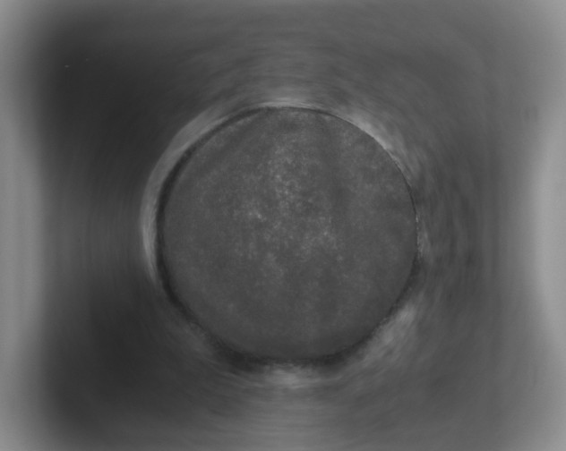 X0000102300199200808081551