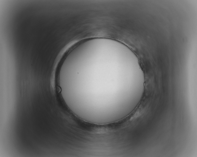 X0000102300200200808081551