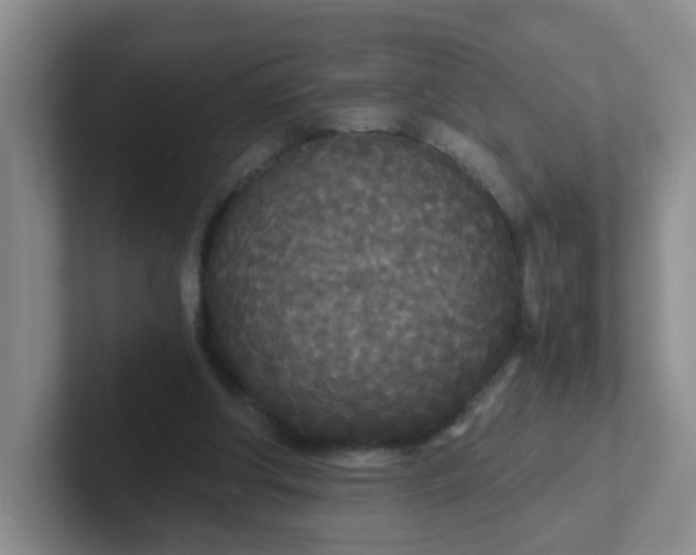 X0000102300202200808081551