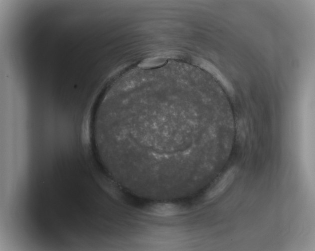 X0000102300203200808081551