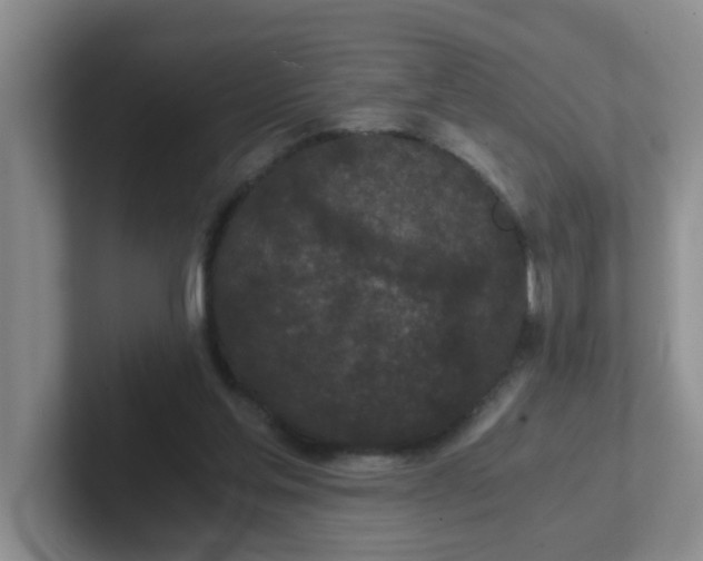 X0000102300205200808081551