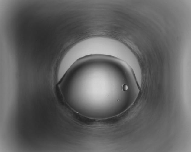 X0000102300207200808081551