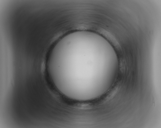 X0000102300208200808081551