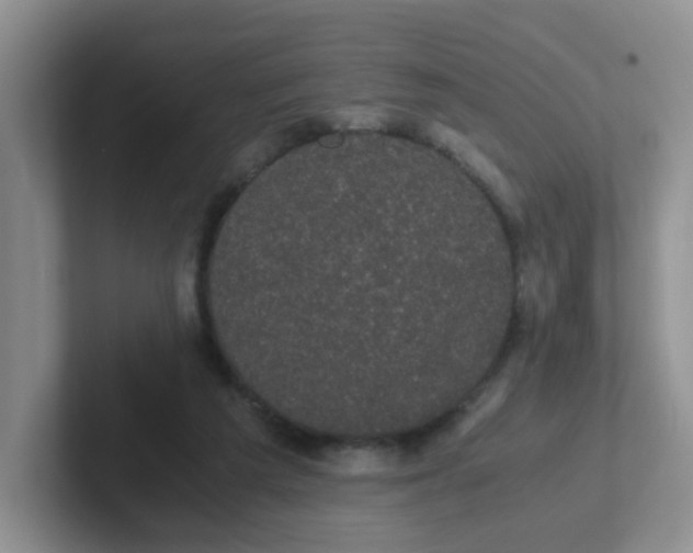 X0000102300209200808081551