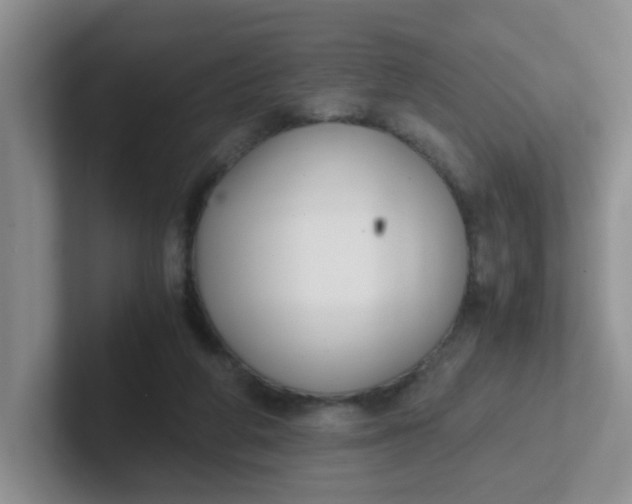 X0000102300210200808081551
