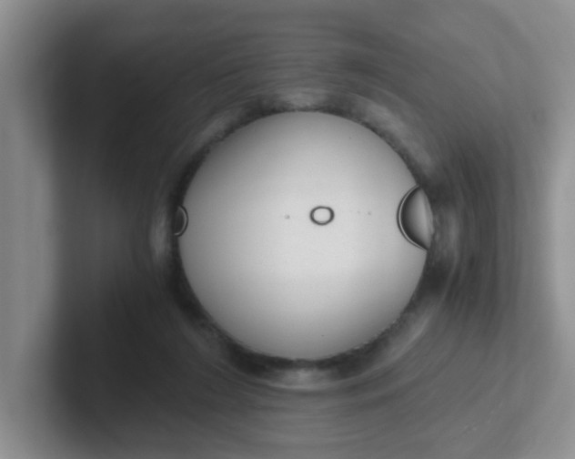 X0000102300212200808081551