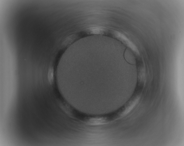 X0000102300213200808081551