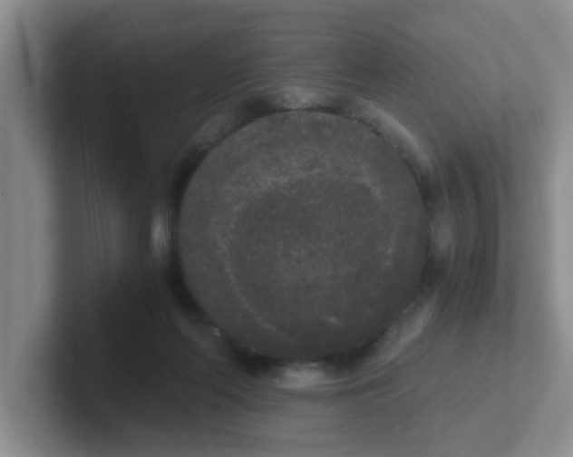 X0000102300214200808081551