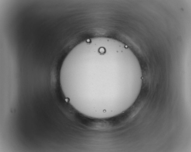 X0000102300215200808081551