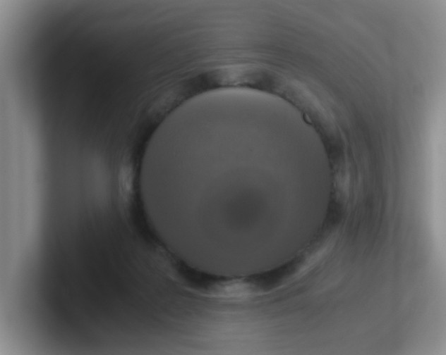 X0000102300219200808081551