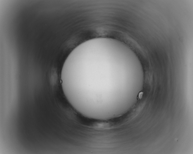 X0000102300220200808081551