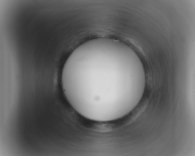 X0000102300221200808081551