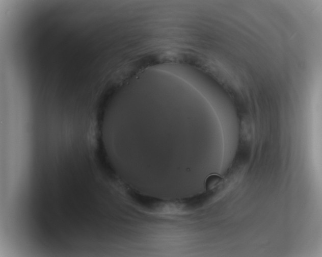 X0000102300223200808081551