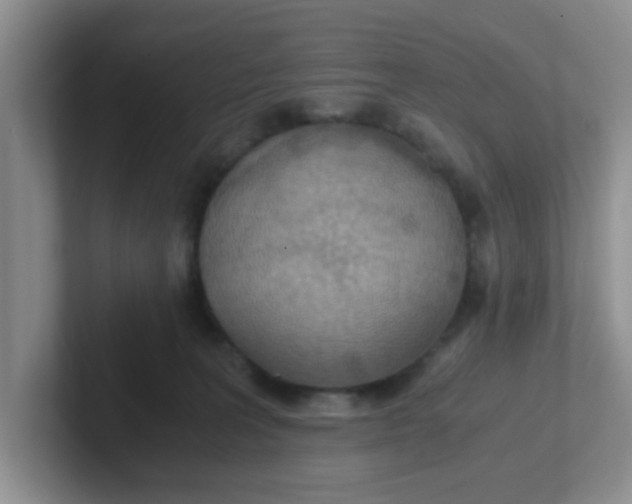 X0000102300227200808081551