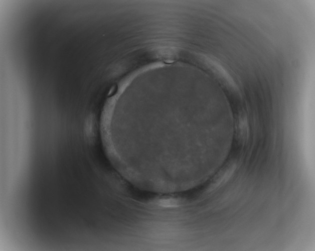 X0000102300228200808081551