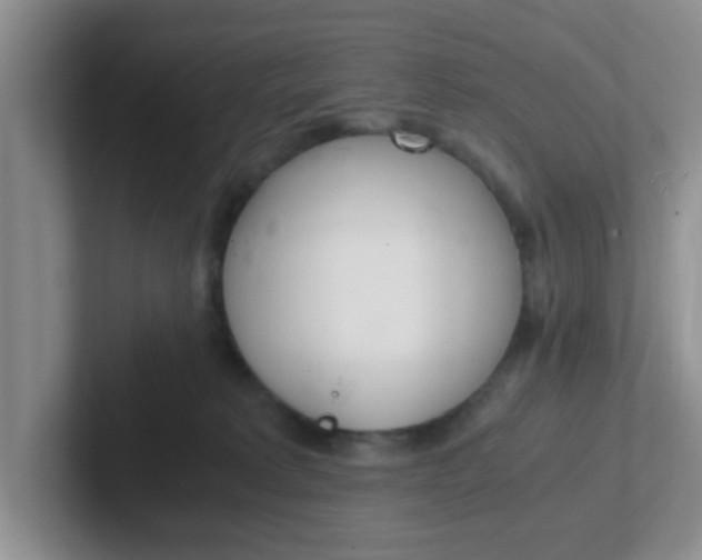 X0000102300229200808081551