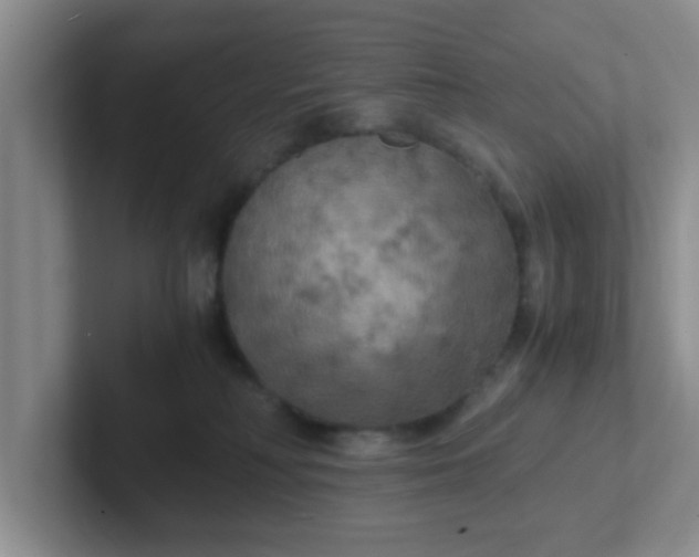 X0000102300230200808081551