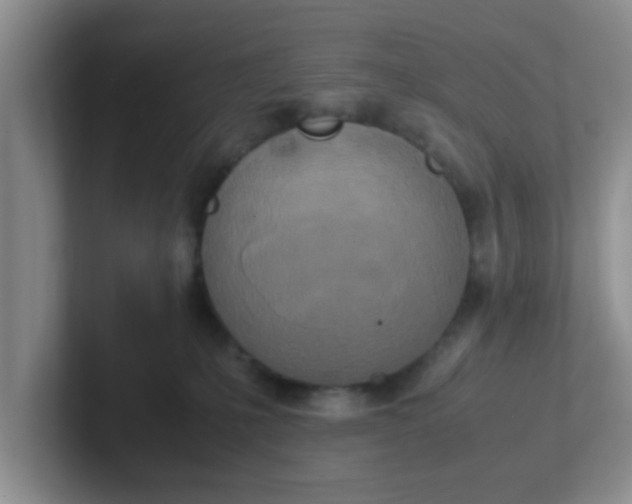 X0000102300231200808081551