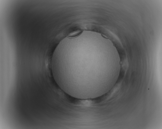 X0000102300233200808081551