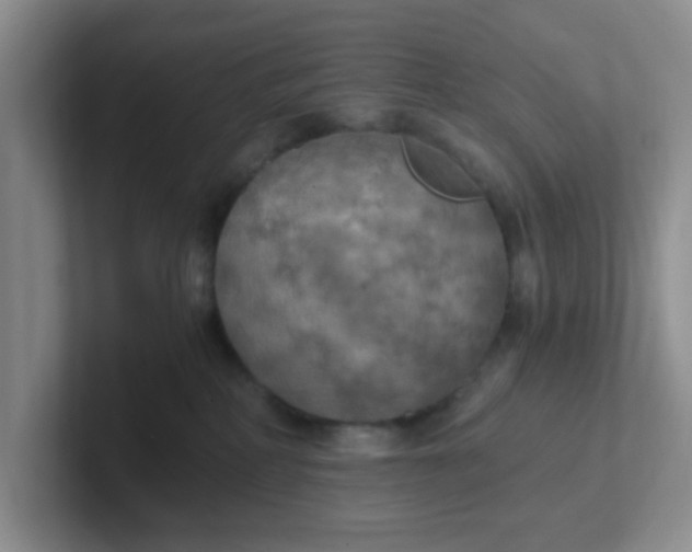 X0000102300234200808081551