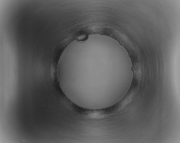 X0000102300235200808081551