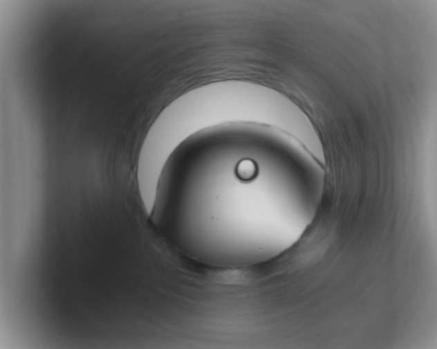 X0000102300237200808081551