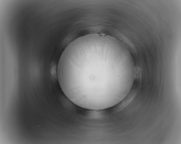 X0000102300238200808081551