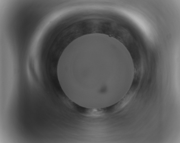 X0000102300239200808081551