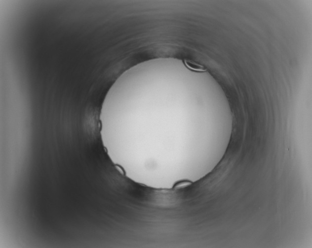 X0000102300240200808081551