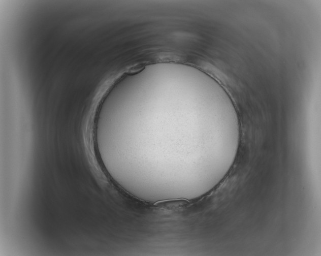 X0000102300241200808081550