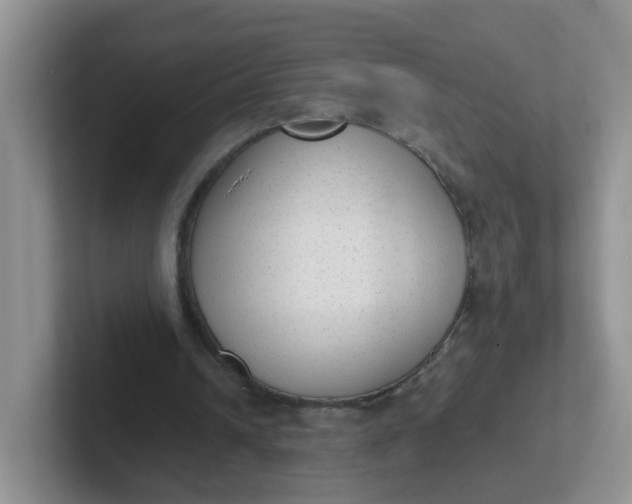 X0000102300242200808081550