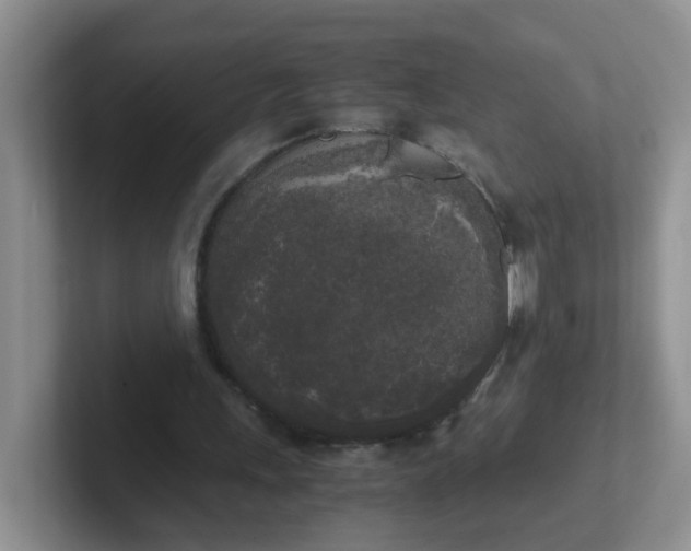 X0000102300243200808081550